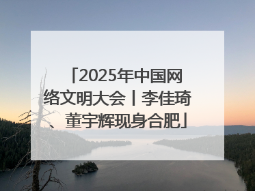 2025年中国网络文明大会丨李佳琦、董宇辉现身合肥