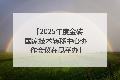 2025年度金砖国家技术转移中心协作会议在昆举办