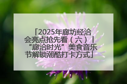 2025年廊坊经洽会亮点抢先看（六）丨“廊洽时光”美食音乐节解锁潮酷打卡方式