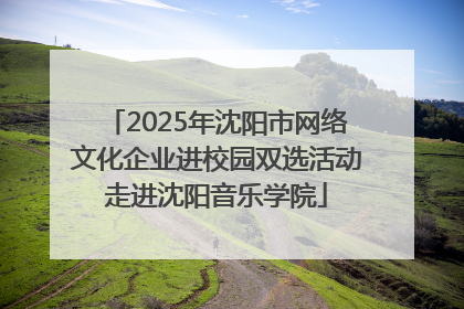 2025年沈阳市网络文化企业进校园双选活动走进沈阳音乐学院