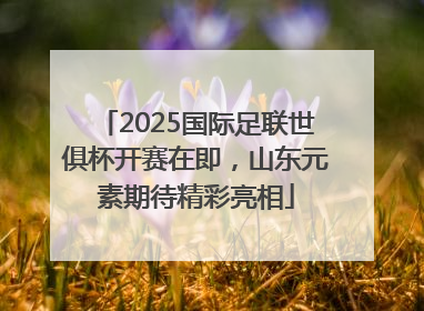 2025国际足联世俱杯开赛在即，山东元素期待精彩亮相