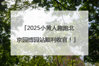 2025小黄人趣跑北京园博园站顺利收官！