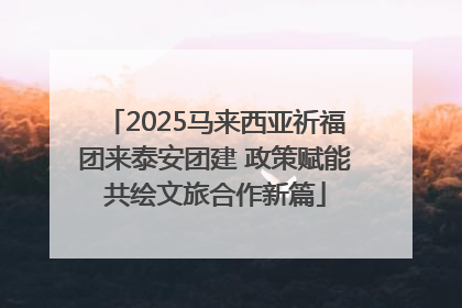2025马来西亚祈福团来泰安团建 政策赋能共绘文旅合作新篇
