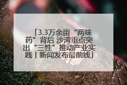 3.3万余亩“两味药”背后 沙湾重点突出“三性”推动产业实践丨新闻发布最前线