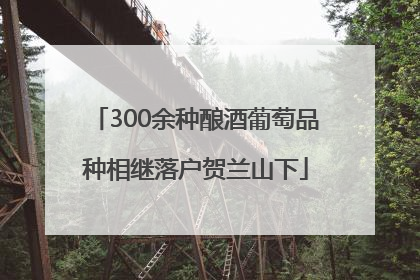 300余种酿酒葡萄品种相继落户贺兰山下