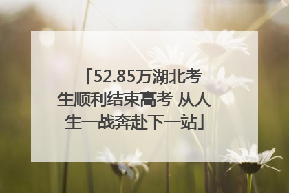 52.85万湖北考生顺利结束高考 从人生一战奔赴下一站