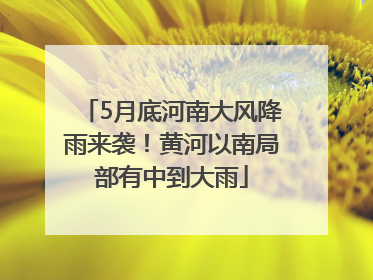 5月底河南大风降雨来袭！黄河以南局部有中到大雨