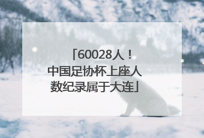 60028人！中国足协杯上座人数纪录属于大连