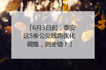 6月3日起，泰安这5条公交线路优化调整，别坐错！