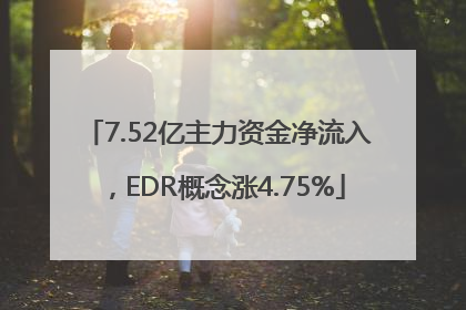 7.52亿主力资金净流入，EDR概念涨4.75%
