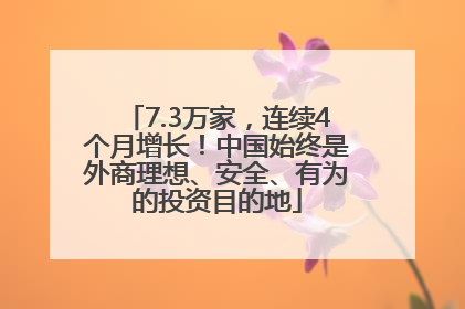 7.3万家，连续4个月增长！中国始终是外商理想、安全、有为的投资目的地