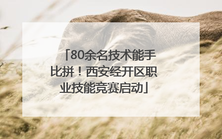 80余名技术能手比拼！西安经开区职业技能竞赛启动