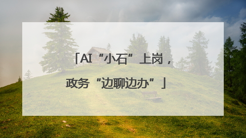 AI“小石”上岗，政务“边聊边办”