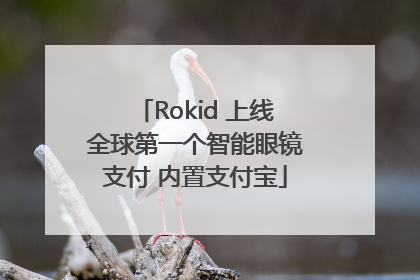 Rokid 上线全球第一个智能眼镜支付 内置支付宝